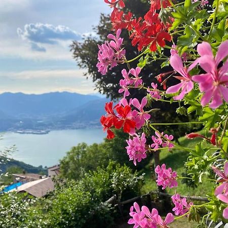 Casa Vacanze Il Pettirosso. Pisogne Eksteriør billede