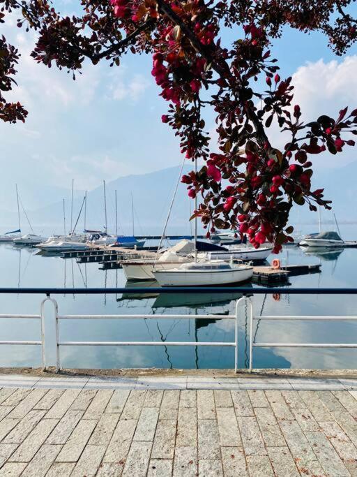 Casa Vacanze Il Pettirosso. Pisogne Eksteriør billede