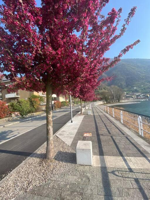 Casa Vacanze Il Pettirosso. Pisogne Eksteriør billede
