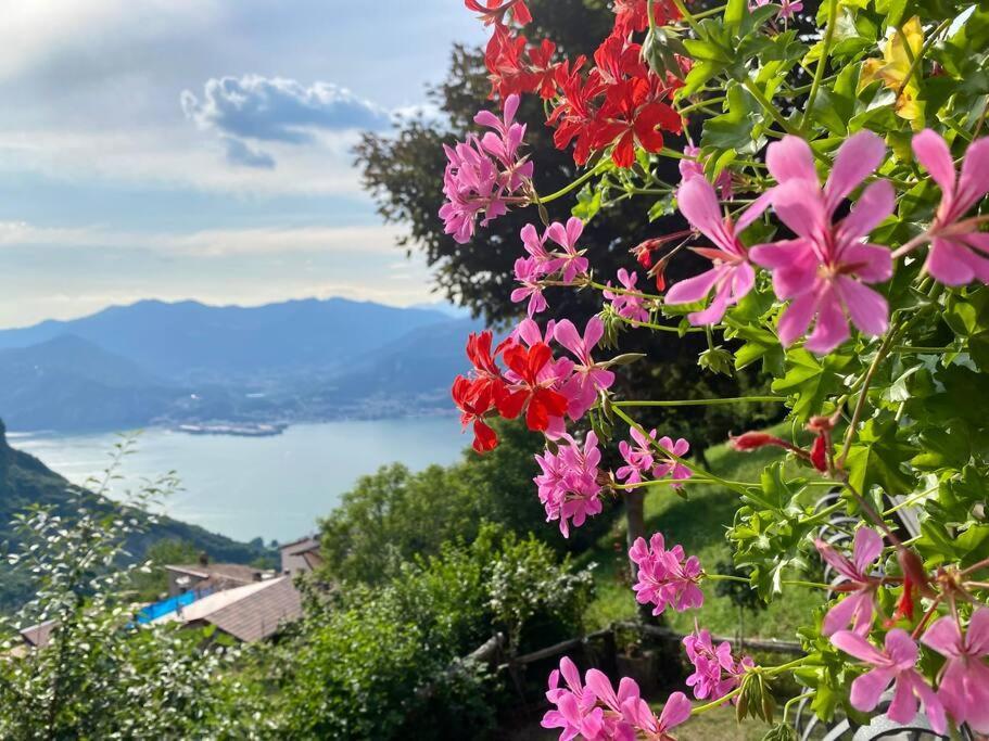 Casa Vacanze Il Pettirosso. Pisogne Eksteriør billede
